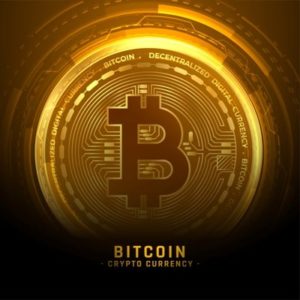 Bitcoin Wallets - What You Need to Know